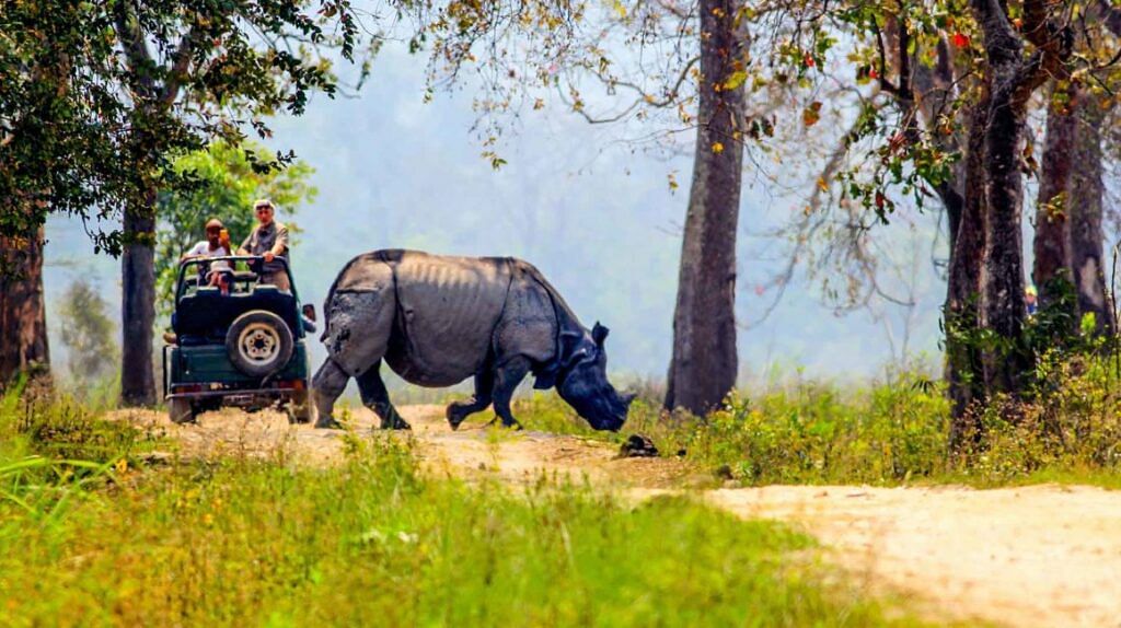 Jeep Safari at Kaziranga National Park